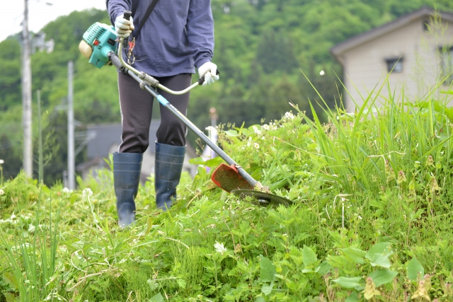 近江八幡市で草刈りに最適な年3回の時期～楽に草刈りを終えるコツまで徹底解説