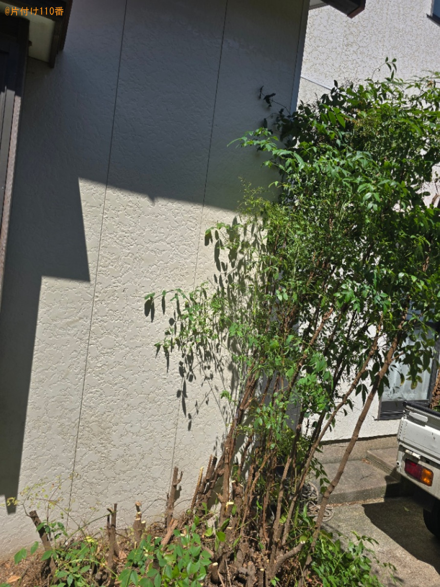 庭木の剪定と剪定した枝の回収作業ご依頼　お客様の声