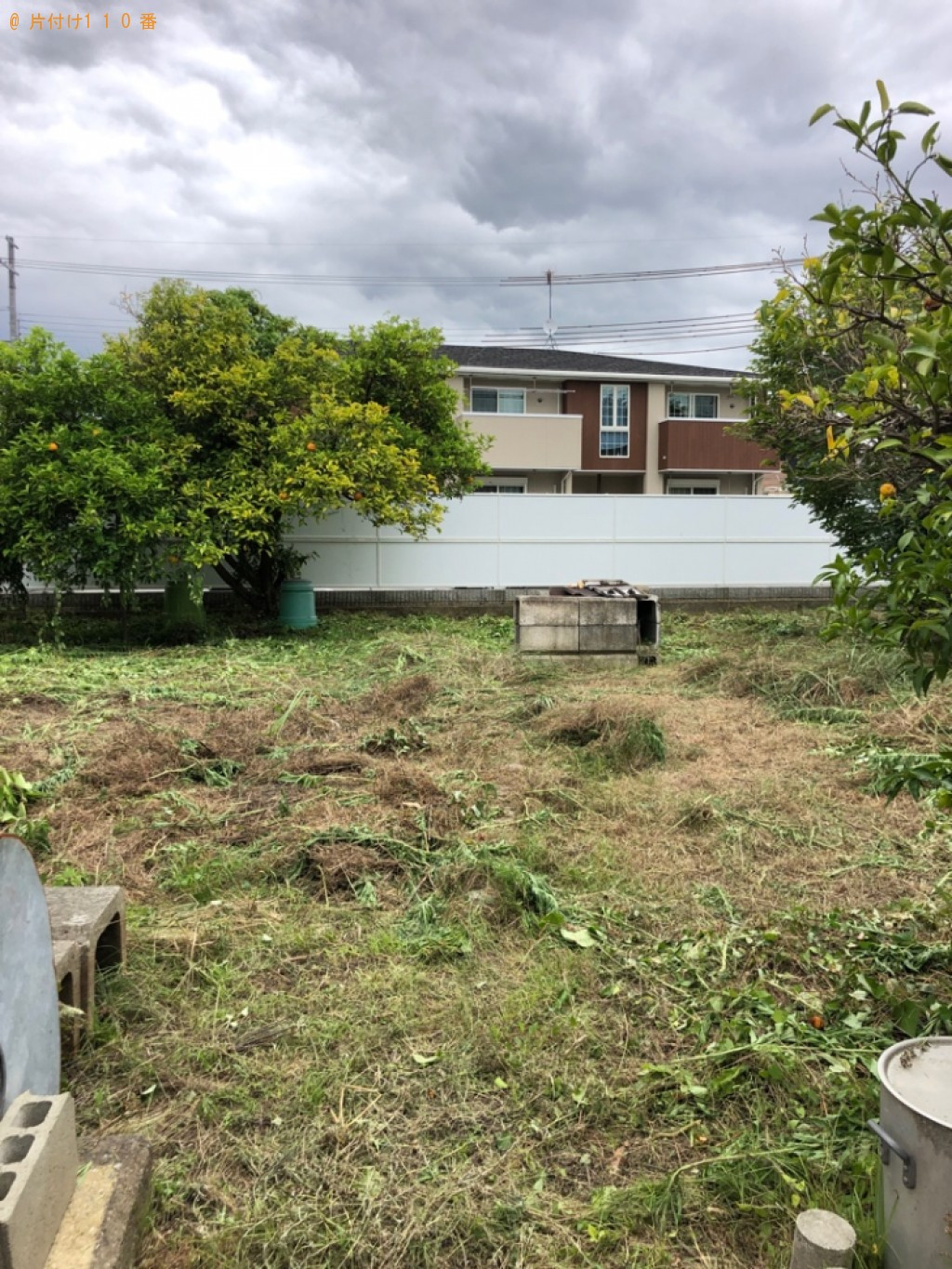 【草津市】草刈り作業ご依頼　お客様の声