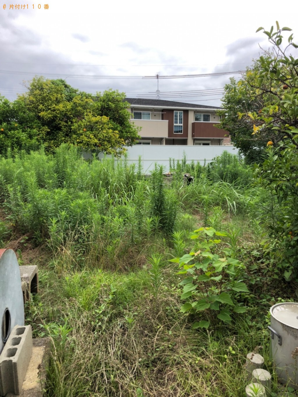 【草津市】草刈り作業ご依頼　お客様の声