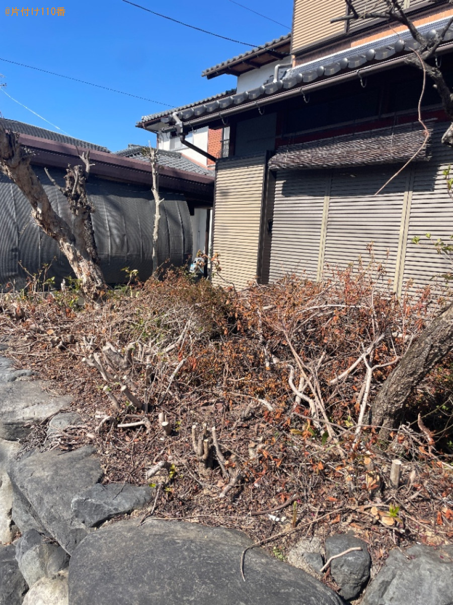 【東近江市】伐採済みの枝の回収・処分ご依頼　お客様の声